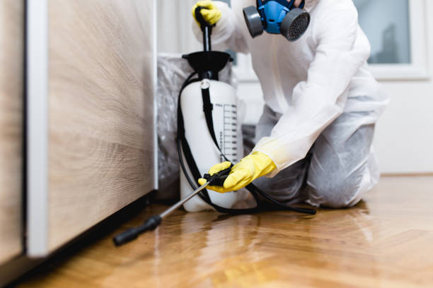 Best Commercial Pest Control Services  in North Royalton, OH