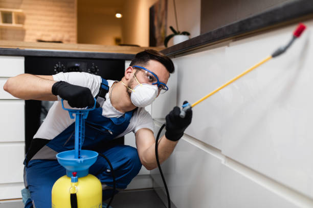 Pest Control for Restaurants in North Royalton, OH