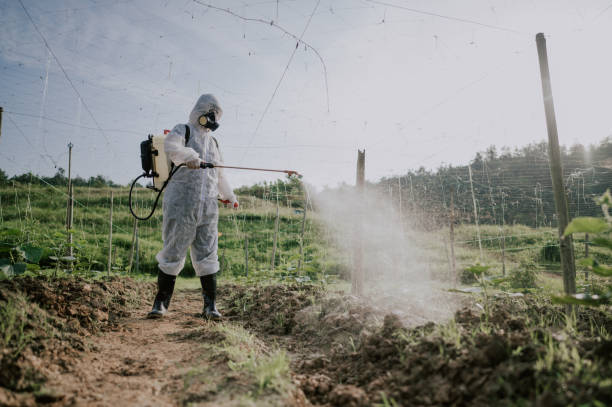 Best Ant Control Services  in North Royalton, OH