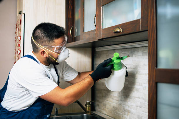 Best Local Pest Control Services  in North Royalton, OH