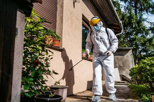 Best Emergency Pest Control  in North Royalton, OH