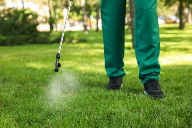Best Residential Pest Control  in North Royalton, OH