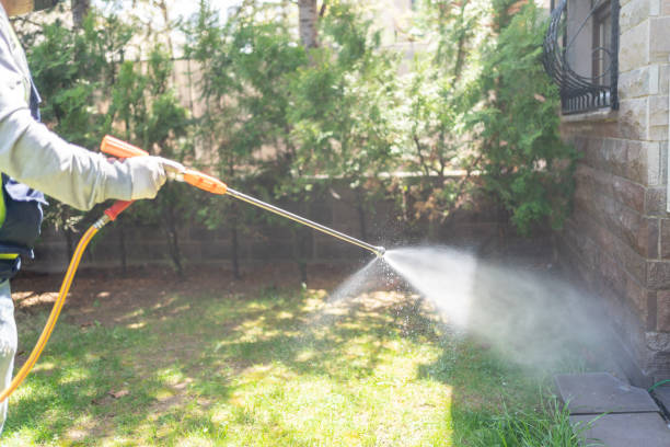 Best Pest Removal Services  in North Royalton, OH