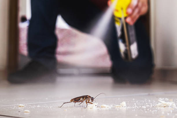 Best Rat Extermination Near Me  in North Royalton, OH