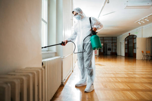 Best Flea Control Services  in North Royalton, OH