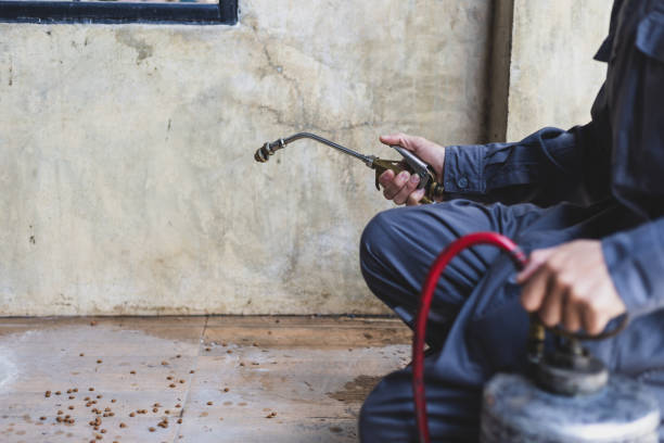 Best Rat Extermination Near Me  in North Royalton, OH